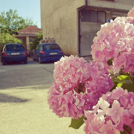 Gjorgji 68a Apartman