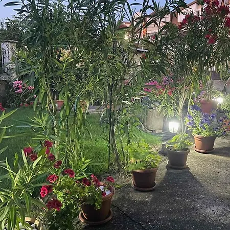 Apartman Gjorgji 68a Ohrid